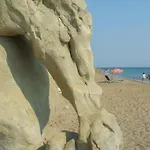 Oliveland